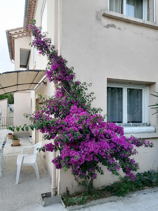 La Maison De 6Fran Appartement 2 Chaleureux Et Calme Ambiance Familiale Valros Ngoại thất bức ảnh